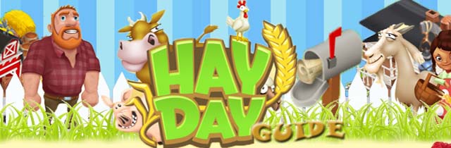 Hay Day Coins Guide